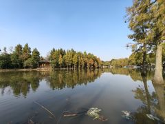 -上海长兴岛郊野公园