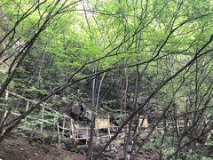 -孤山寨风景区