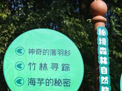 -东莞市大岭山森林公园