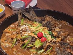 -老板恋上鱼(恒隆广场店)