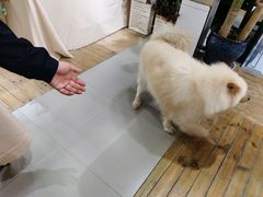-肆兮眼镜·蔡司·徕卡战略合作店(大坪店)
