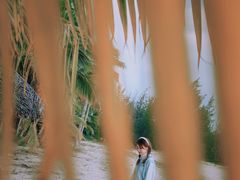 -东郊椰林