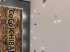 -CoCo壱番屋