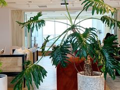 -COFFEEOLOGY咖啡学(天银店)