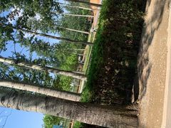 -秦皇岛野生动物园