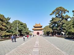 -北陵公园