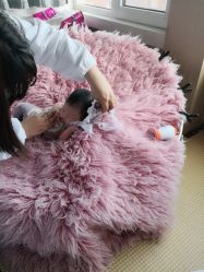 -花开映像儿童摄影