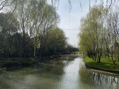 -广富林郊野公园