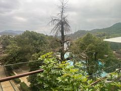 -逸廊大堂吧-下午茶·简餐-千岛湖自由洲际殿