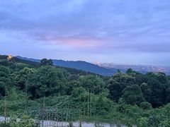 -金水泊山庄·花椒鸡(铁山坪店)