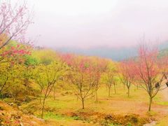 -福清灵石山国家森林公园