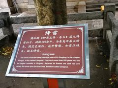 -青岛崂山太清宫