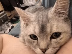 -中农国际动物医院24小时·猫科·骨科·急重症中心
