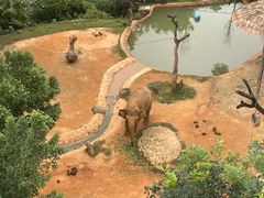 -广州长隆野生动物世界