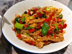 鸭掌筋-壹盏灯(惠农店)