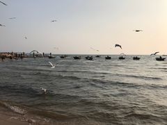 -老虎石海上公园