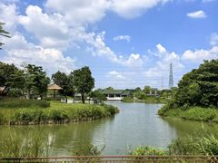 -王借岗森林公园