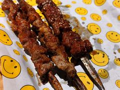 招牌红柳羊肉串-新疆烧烤王(广灵店)