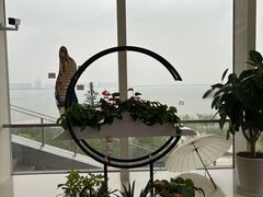 -朵云书院(滴水湖店)