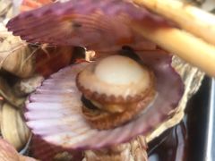 -晓伟海鲜家常菜