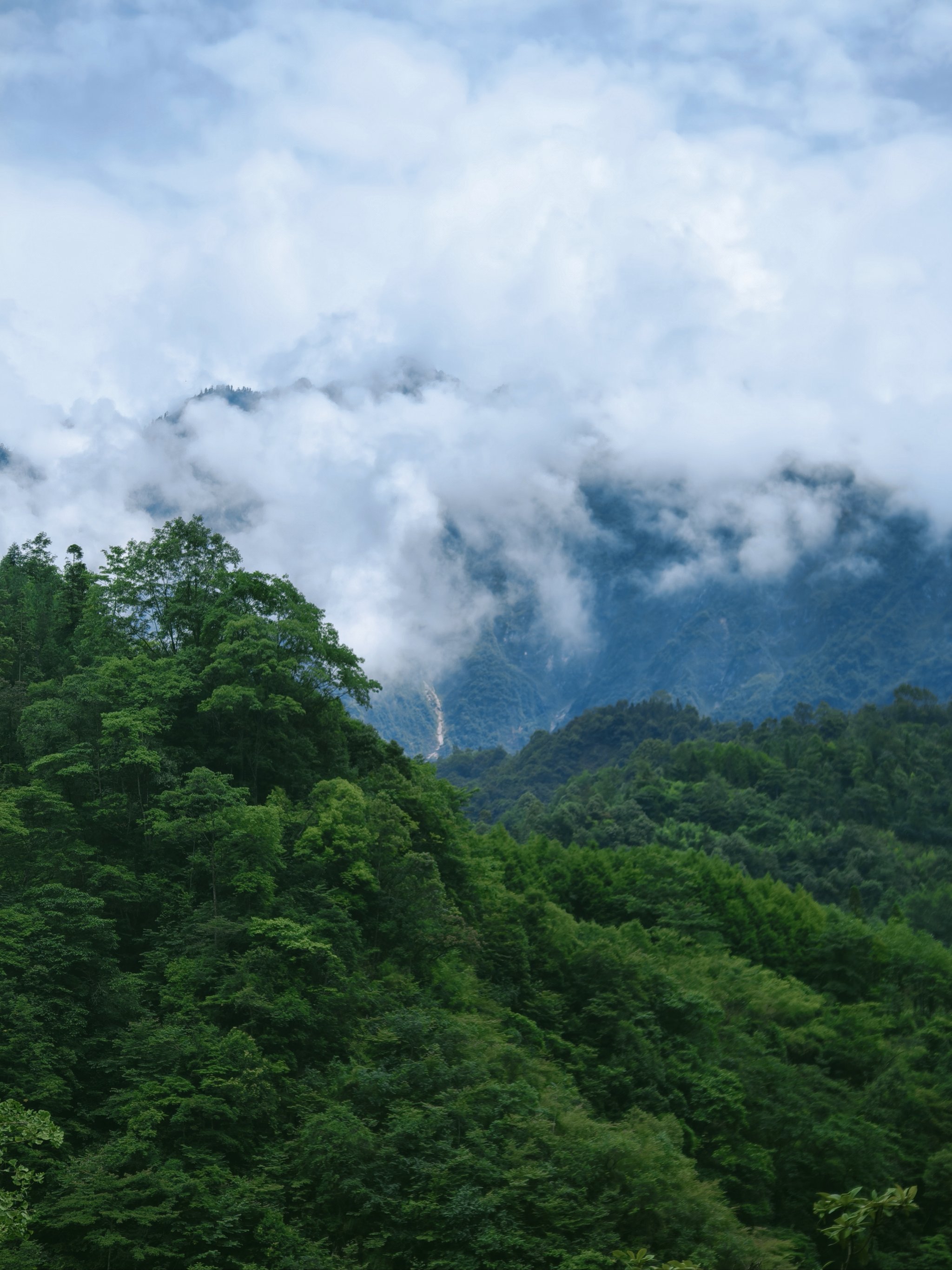 汝阳王坪乡鸡冠山景区图片