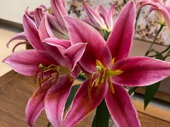 -锦江之星(广州海珠江泰路地铁站店)