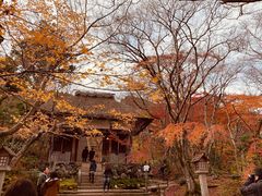 -常寂光寺