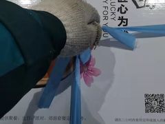 -池田寿司·新鲜现做(昌平悦荟店)