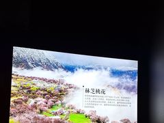 -畅想汤泉生活(民治店)