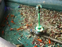 -水晶之星洗浴温泉汗蒸