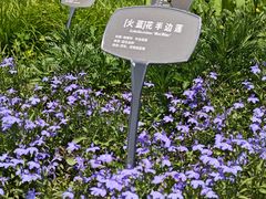 -国家植物园