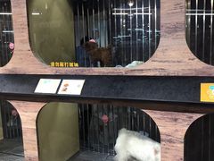 -宠物世家(仲盛世界商城店)