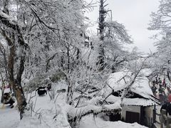 -峨眉山风景名胜区