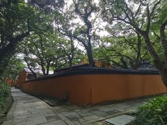 -妈妈菜舟山海鲜(定海古城店)