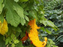 -汉中石门栈道景区