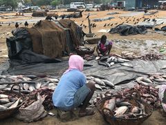 景点-尼甘布海鲜市场