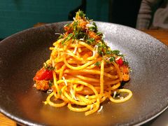 -百好乐宠物友好餐厅(朝外大街店)