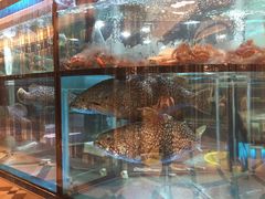 -金翠皇宫粤菜·点心·海鲜(科技园店)