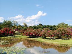 -中国科学院西双版纳热带植物园