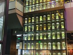 -广东中医药博物馆