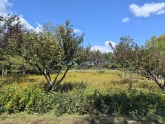 -永定河休闲森林公园