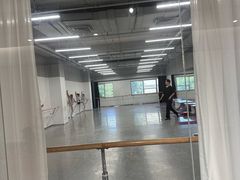 -舞蕾舞蹈(特长生校区)