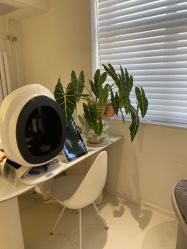 -安那般那皮肤年轻化ANAPANA