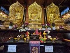 -九华山风景区