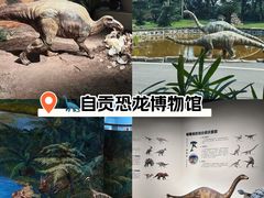 -自贡恐龙博物馆