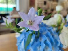 -THE PRESS(复旦大学店)