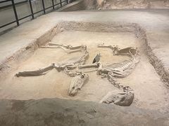 -洛阳周王城天子驾六博物馆