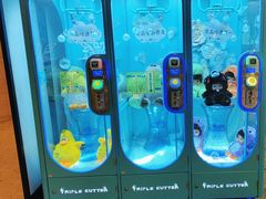 -星际传奇(观澜湖新城店)