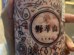 -野萃山·潮汕厚果汁(十亩地店)