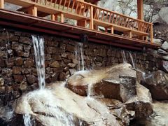 -王顺山国家森林公园